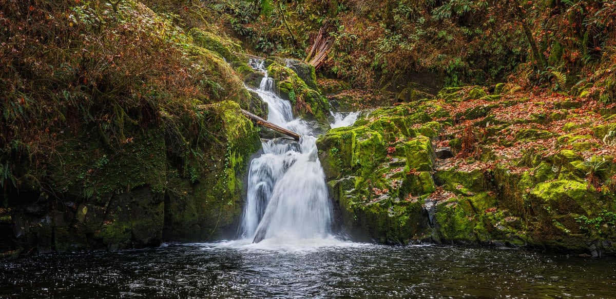 305 megapixels! A very high resolution, large-format VAST canvas photo print of a beautiful waterfall in the woods; nature photograph created by Chris Blake of Sweet Creek Falls in Oregon.