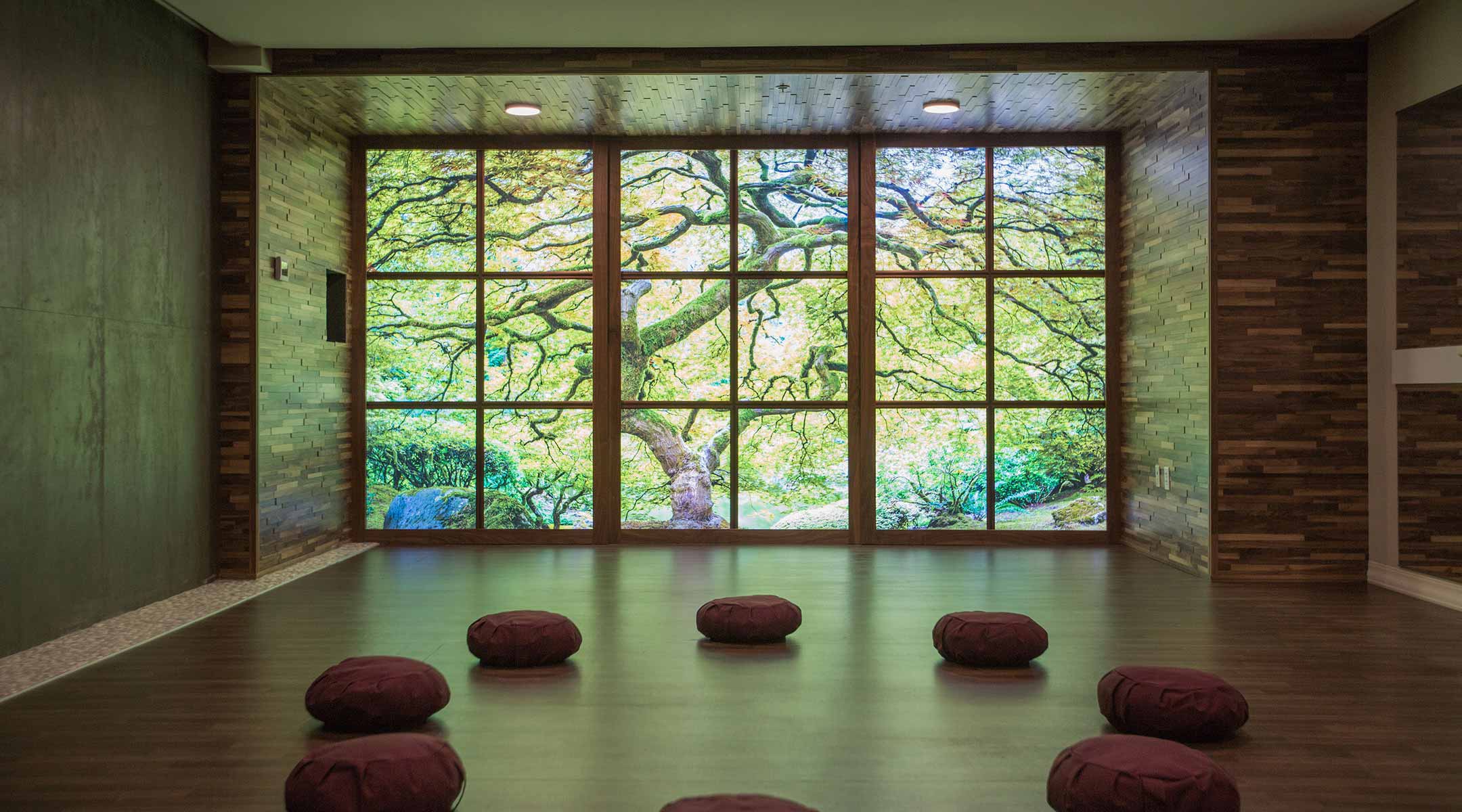Example of a VAST photo being used as a backlit wall in a meditation room.