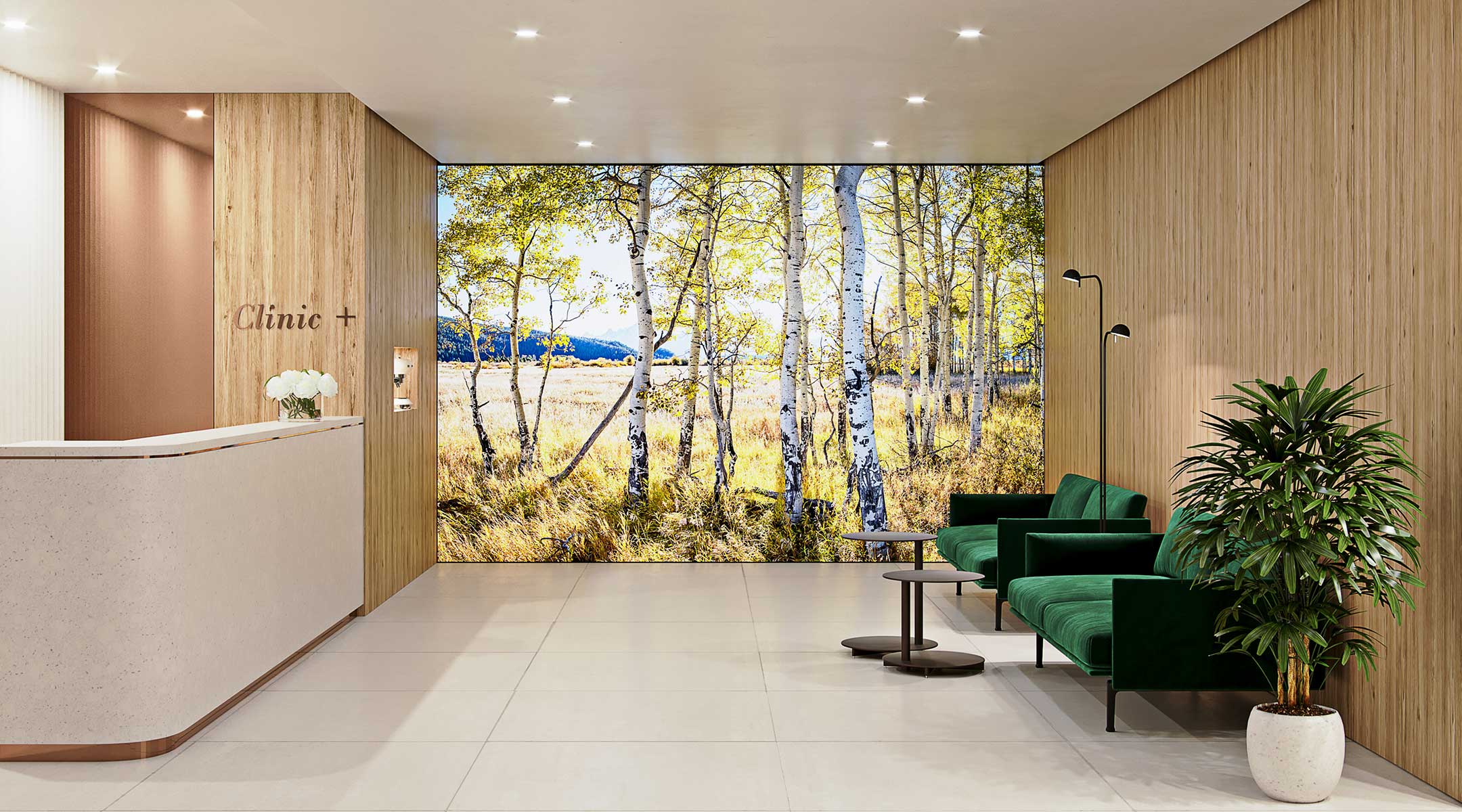 Example of a VAST photo being used as a large backlit wall in a medical clinic.