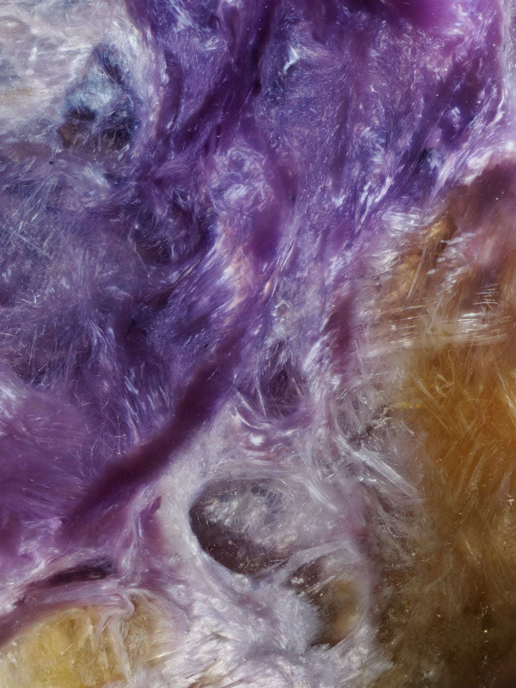 343 megapixels! A very high resolution abstract purple artwork; VAST photo and fine art print created by Steph Mantis.