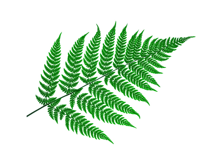 523 megapixels! A very high resolution, large-format VAST photo print of a green fern plant; nature photograph created by Scott Rinckenberger in Snoqualmie Falls Park, Snoqualmie, Washington.