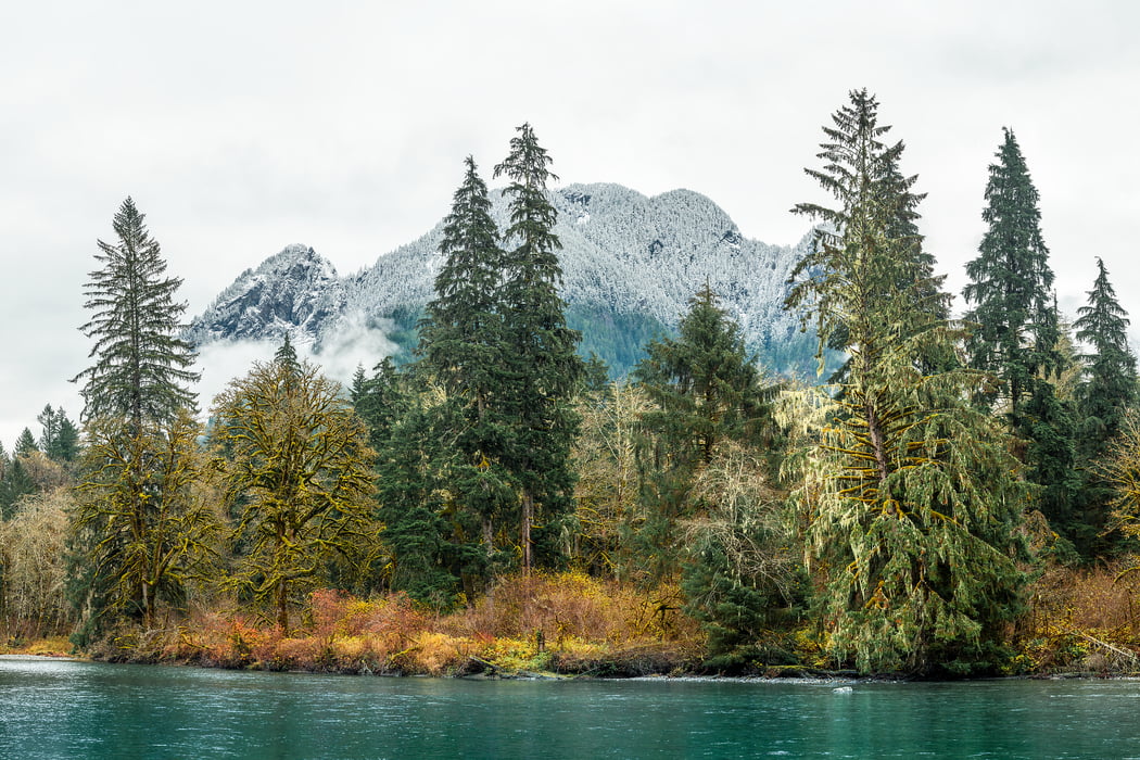 357 megapixels! A very high resolution, large-format VAST photo print of a river with evergreen trees and a mountain; nature photograph created by Scott Rinckenberger in Middle Fork of Snoqualmie River, North Bend, Washington.
