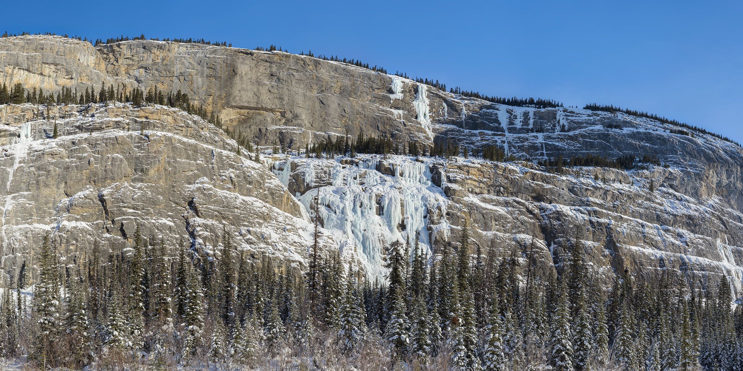1,429 megapixels! A very high resolution, wallpaper photo of climbers climbing an ice wall; landscape photograph created by Scott Dimond in Weeping Wall, Icefields Parkway, Banff National Park, Alberta Canada.