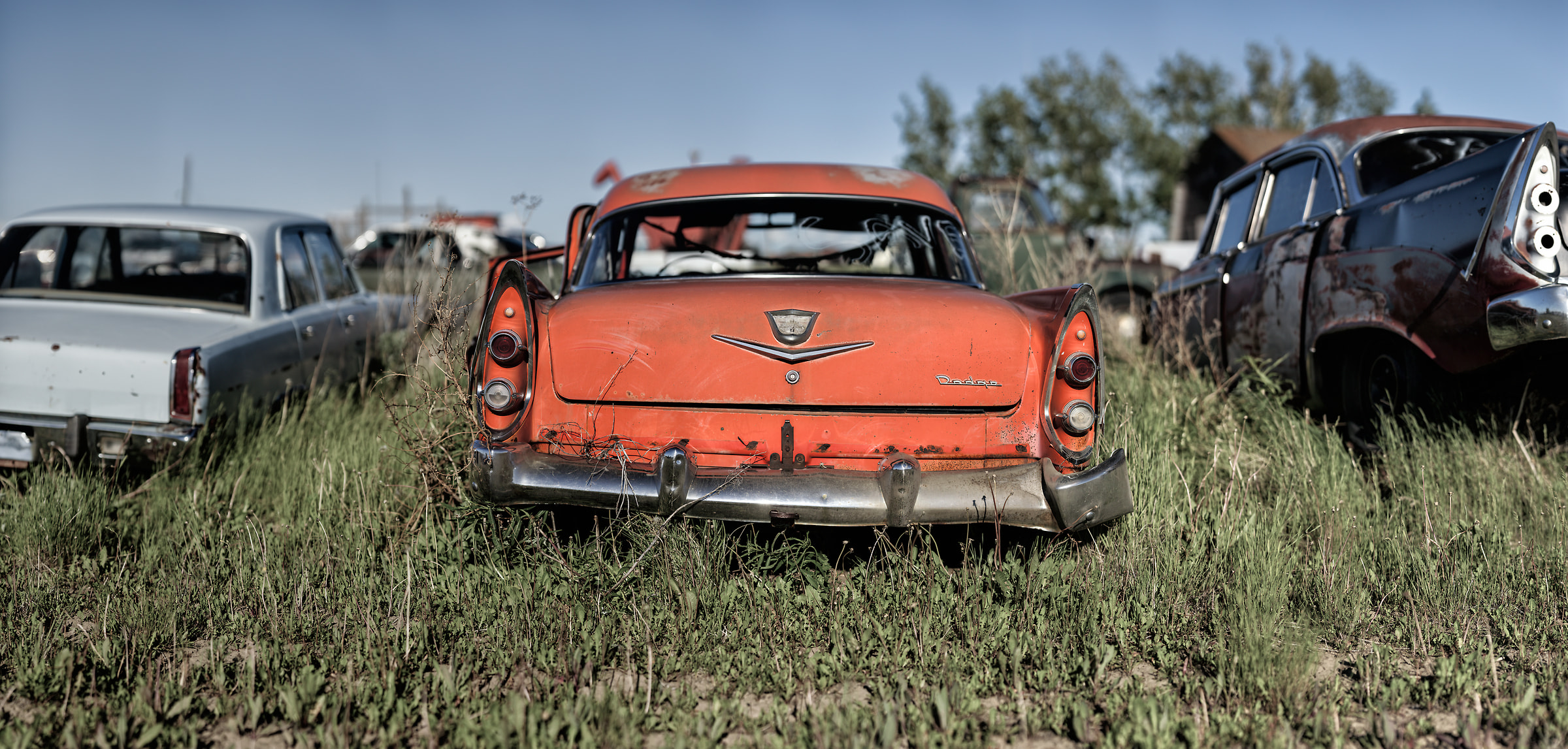 2,005 megapixels! A very high resolution, large-format VAST photo print of a vintage car; photograph created by Scott Dimond.