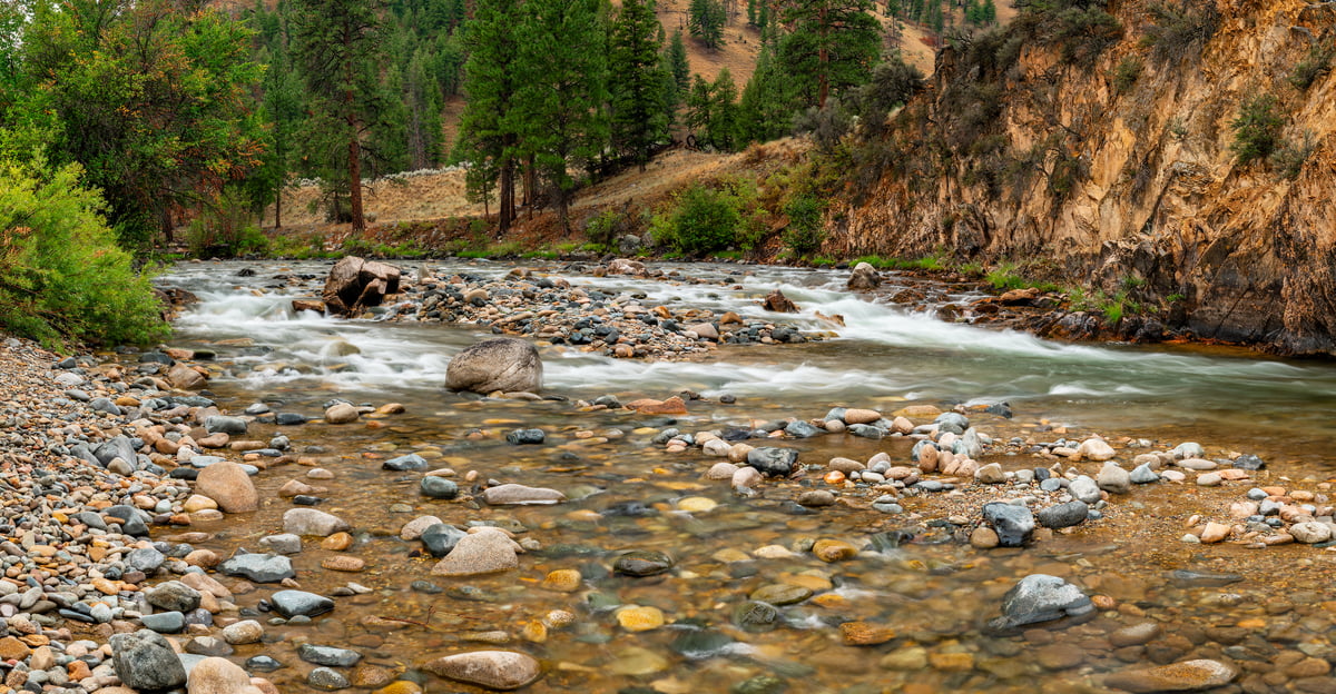 218 megapixels! A very high resolution, large-format VAST photo print of a creek; nature photograph created by Phillip Noll in Middle Fork Salmon River, ID.