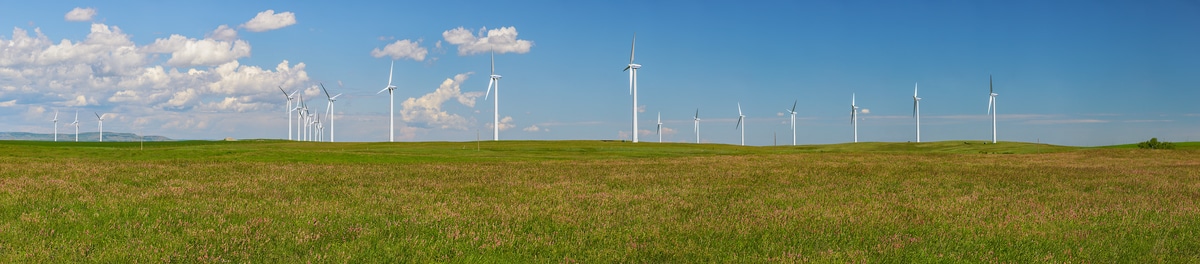 2,202 megapixels! A very high resolution, large-format VAST photo print of wind turbines in a grassy field; landscape photograph created by Scott Dimond in Fort Macleod, Alberta, Canada.