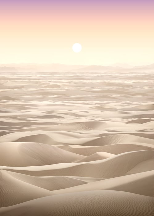 560 megapixels! A very high resolution, large-format, artistic photo print of sand dunes at sunrise or sunset; landscape photograph created by Nick Pedersen.