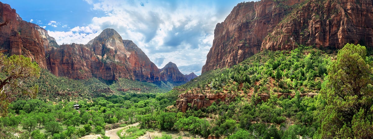 241 megapixels! A very high resolution, large-format VAST photo print of Zion Canyon in Utah with green trees; landscape photograph created by Phil Crawshay in Zion Canyon, Utah.