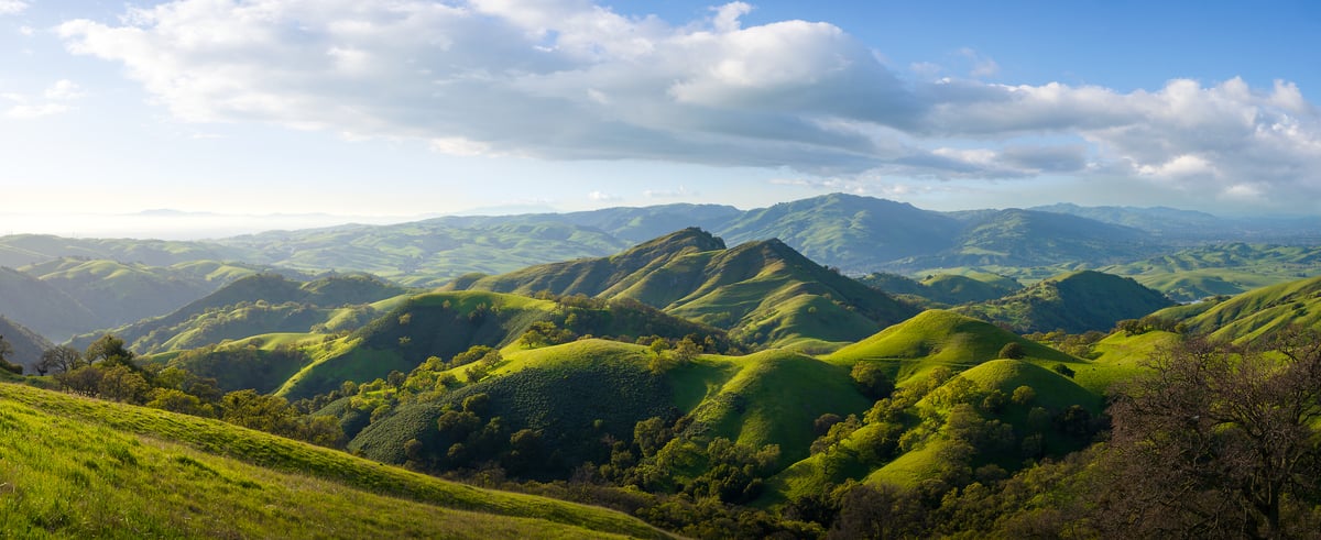 366 megapixels! A very high resolution, large-format VAST photo print of the rolling green hills of the East Bay of the San Francisco Bay Area on a beautiful day with blue sky and puffy white clouds; landscape photograph created by Jeff Lewis in Sunol, California.