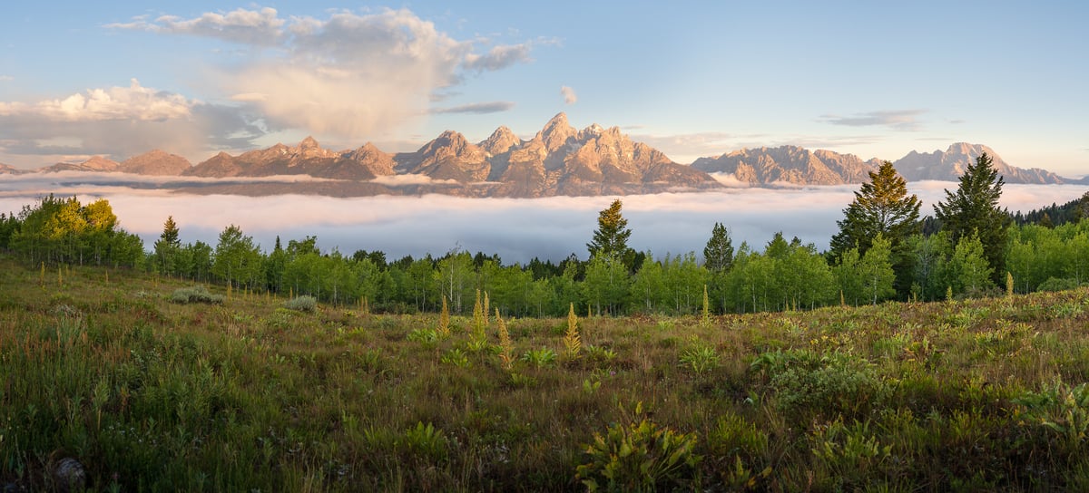 207 megapixels! A very high resolution, mural photo of the Teton Range of mountains with a field and trees in foreground; landscape photograph created by Jeff Lewis in Grand Teton National Park in Jackson, Wyoming.