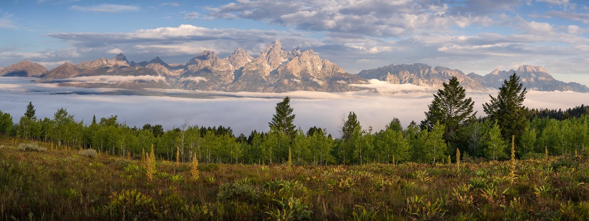 191 megapixels! A very high resolution, large-format landscape photo print of the Teton Range of mountain with a field in the foreground, trees, in the midground, and mountains in the background above a sea of clouds; photograph created by Jeff Lewis from Grand Teton National Park in Jackson, Wyoming.