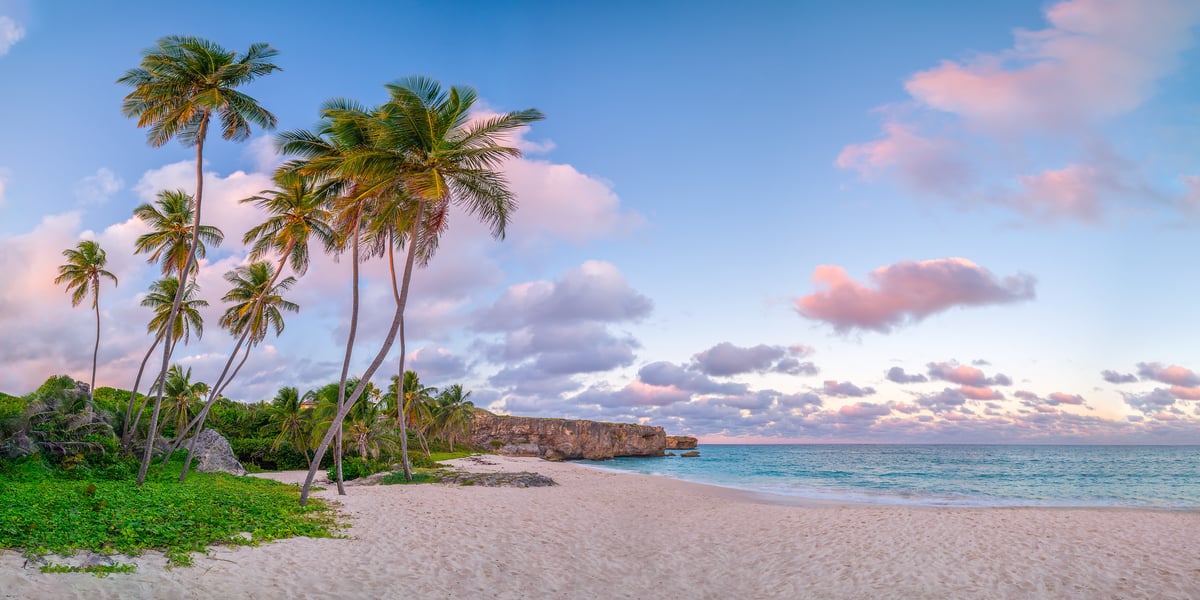 177 megapixels! A very high resolution, large-format VAST photo print of a serene tropical beach scene at sunset with palm trees, sand, turquoise water, and pink clouds; tropical photograph created by Assaf Frank in Saint Philip, Barbados.