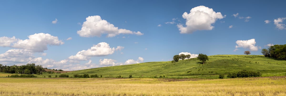 584 megapixels! A very high resolution, large-format VAST photo print of a landscape in the Midwest with a field, rolling green hills, and a few isolated trees on a beautiful blue sky day; photo available to be licensed; fine art photograph created by Jerred Zegelis in Bellwood, Nebraska.