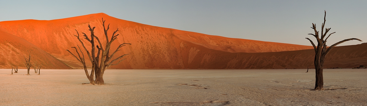 447 megapixels! A very high resolution, panorama photo of a landscape in Africa with sand dunes, dead trees, and a clay pan; photograph created by Scott Dimond in Deadvlei, Sossusvlei, Namib-Naukluft National Park, Namibia.