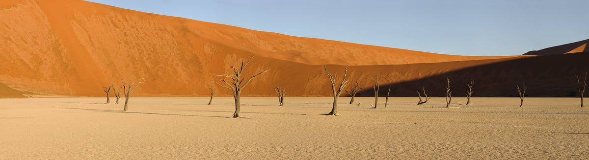 748 megapixels! A very high resolution photo of a landscape in Africa with sand dunes, dead trees, and a clay pan; panorama photograph created by Scott Dimond in Deadvlei, Sossusvlei, Namib-Naukluft National Park, Namibia.