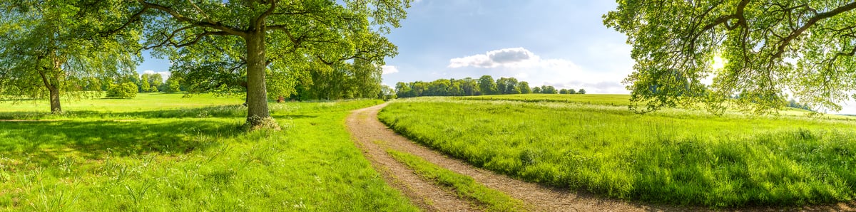 216 megapixels! A very high resolution, large-format VAST photo print of a green pasture with a dirt road going through it; idyllic photograph created by Assaf Frank in Hungerford, United Kingdom.