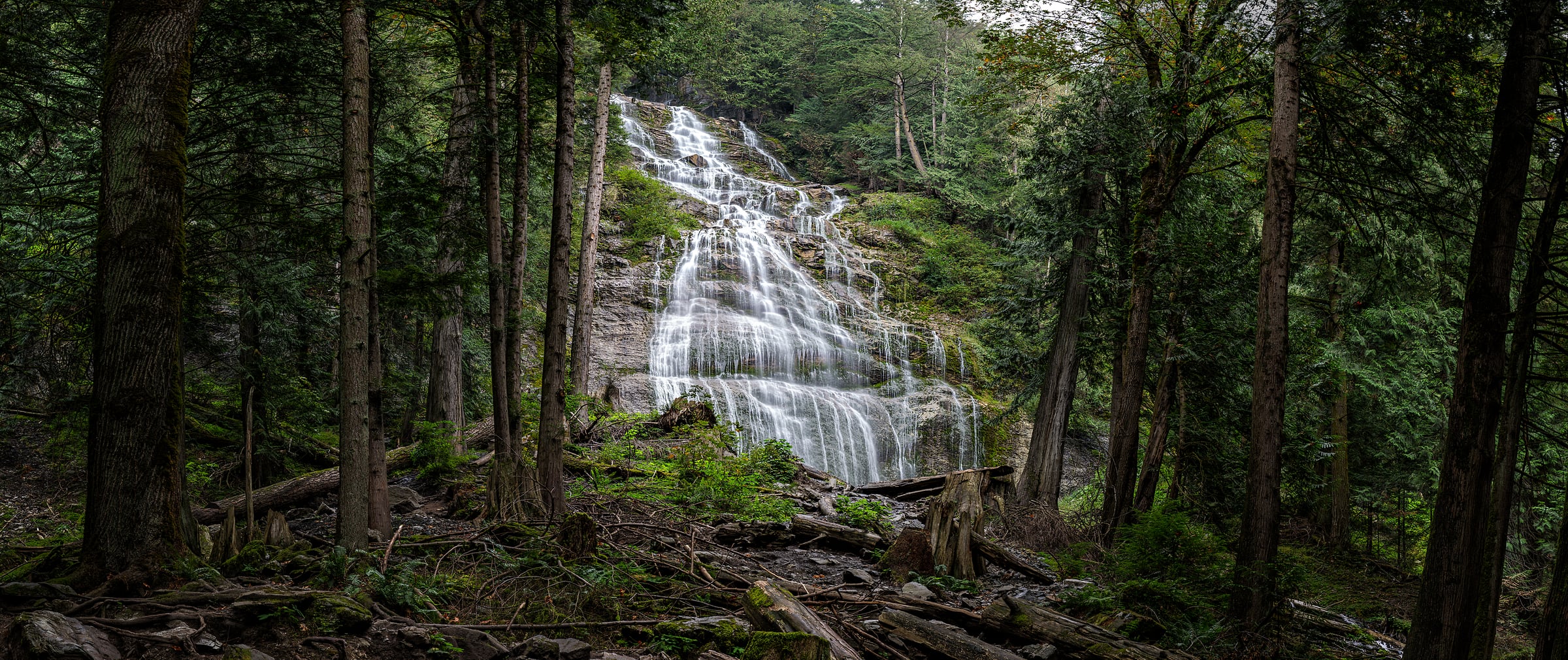 489 megapixels! A very high resolution, large-format VAST photo print of a beautiful waterfall in the middle of a clearing in the woods; nature photograph created by Scott Dimond at Bridal Veil Falls Provincial Park in British Columbia, Canada.
