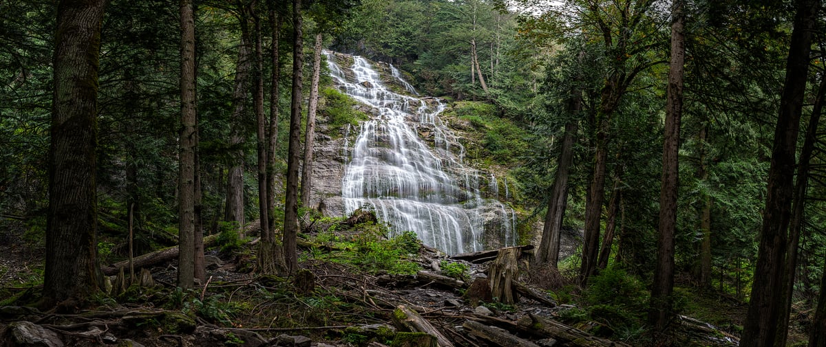 489 megapixels! A very high resolution, large-format VAST photo print of a beautiful waterfall in the middle of a clearing in the woods; nature photograph created by Scott Dimond at Bridal Veil Falls Provincial Park in British Columbia, Canada.