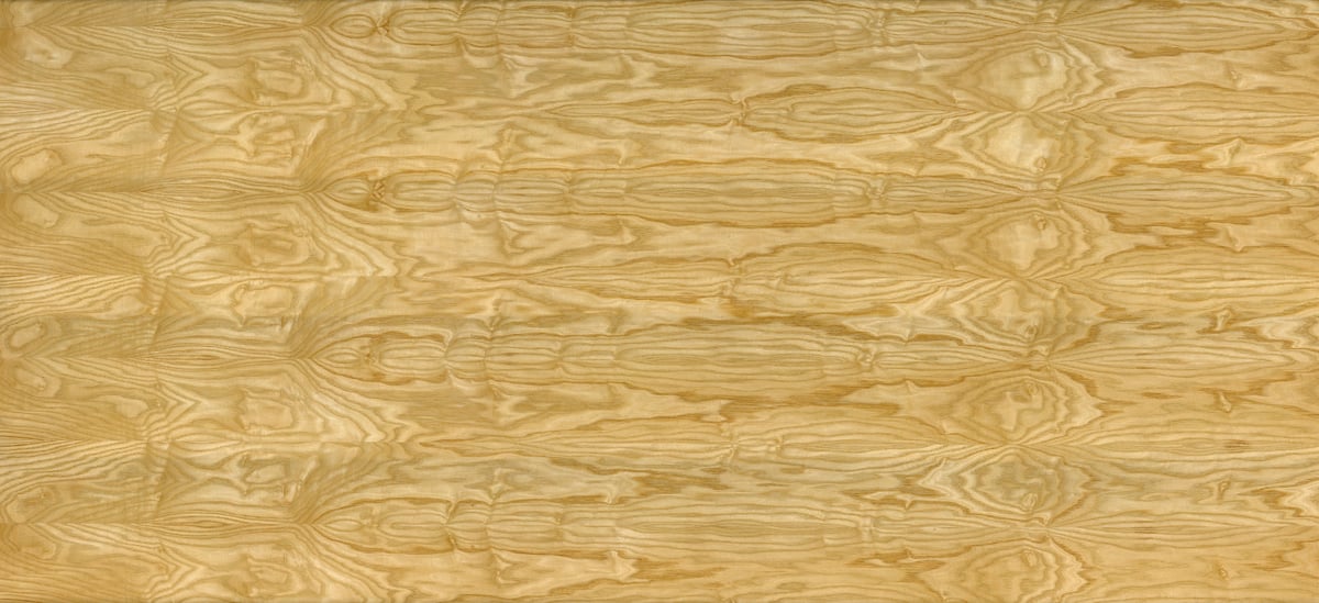 3,162 megapixels! A very high resolution texture photo of golden crown-cut oak; gigapixel image available to be licensed and downloaded as a digital file from VAST; photograph created by David Lineton.